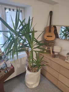 Les studios du frankenthal