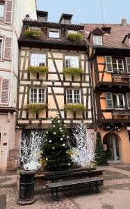 Appartements Les Suites Du Cygne 20 Rue des Boulangers 68000 Colmar Alsace