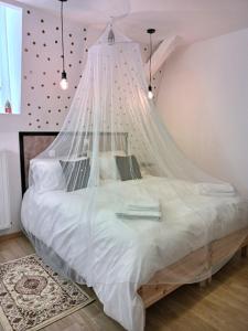 Appartements Les Suites Fénelon 21 Rue du Maréchal Mortier 59360 Le Cateau Nord-Pas-de-Calais