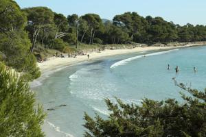 Location Corsica