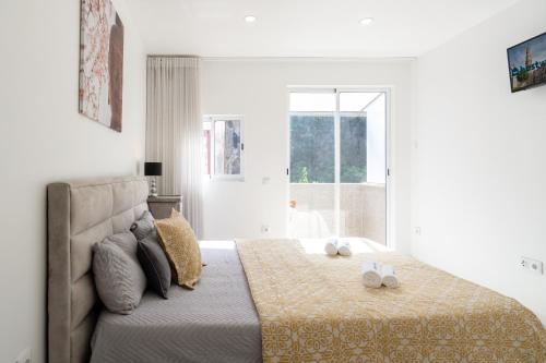Luxurious Noble Apartment with Balcony - Ribeira