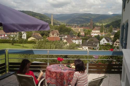 Appartements Maison Bellevue Munster france