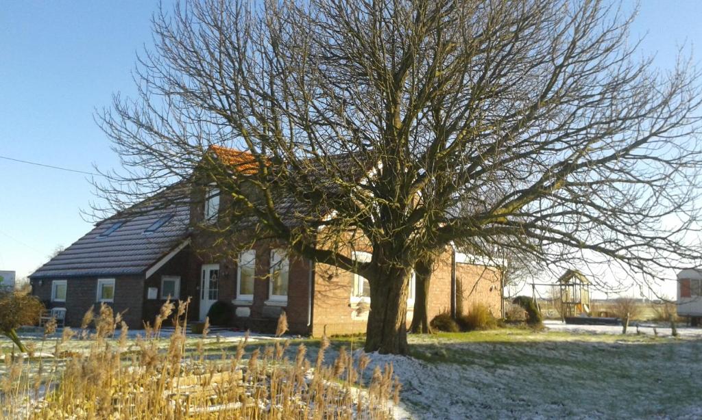 Marijanas Landhaus am Meer Haasham 2, 26553 Middelsbur