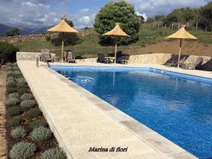 Marina di fiori