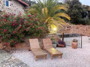 Appartements Mas Picagnol Mas Picagnol Carrer de la calcine 66400 Oms Languedoc-Roussillon