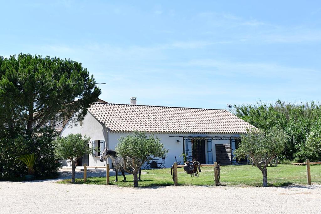 Appartements Mas Trinita Gîte équestre en Camargue VC 123 Mas trinita, Le Paty de la trinite 13200 Arles