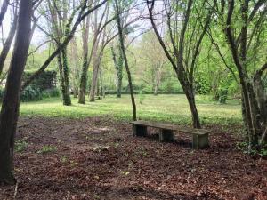 Meublé de Tourisme dans parc arboré 1000m2 - Sejour-la-Roche Eperon