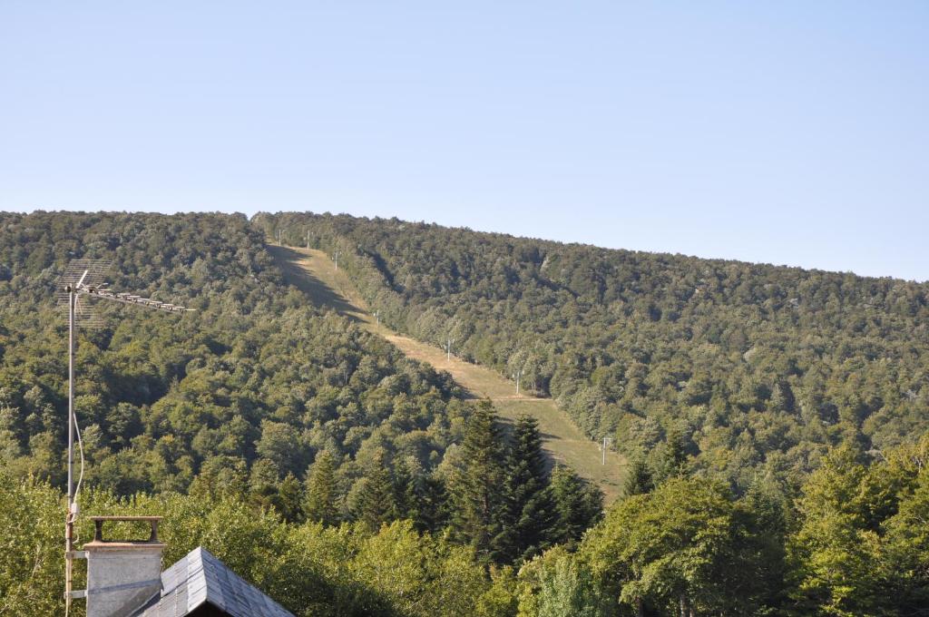 mireille 17230 Villedoux