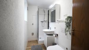 Modern apartments in Würzburg, near university hospital, free parking