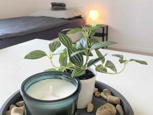 Modern Flat with Garden & Terrace near Coburg