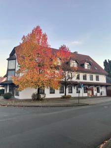 Moderne Ferienwohnungen in Dissen