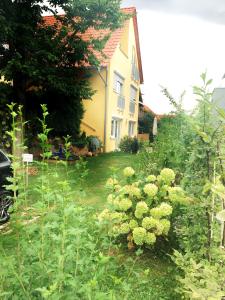 Murthum Gästeappartments