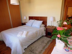 Nature Appartements Font Romeu