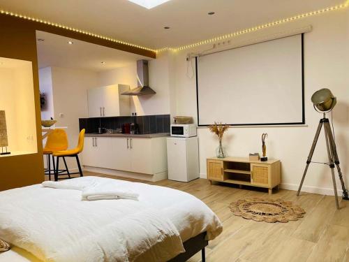 NG SuiteHome T2 Balnéo Wifi Netflix Alsace 1