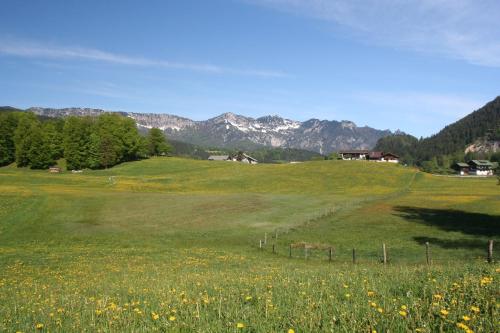Oberreitlehen