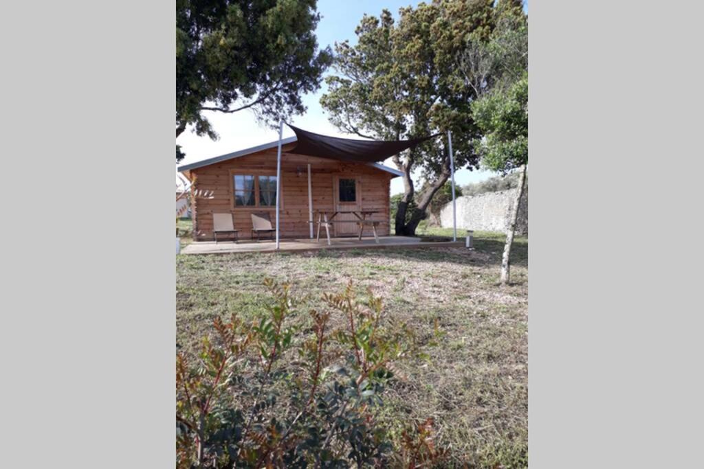 ORTA Chalet