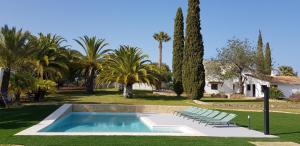 Appartements Palmeiras Cottages 8 Rua da Perdiz 8500-120 Mexilhoeira Grande Algarve