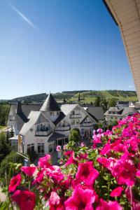 Appartements Park Resort Brilonerstr. 39a 34508 Willingen Hesse