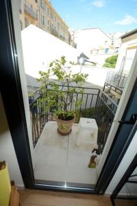 Patio Wilson