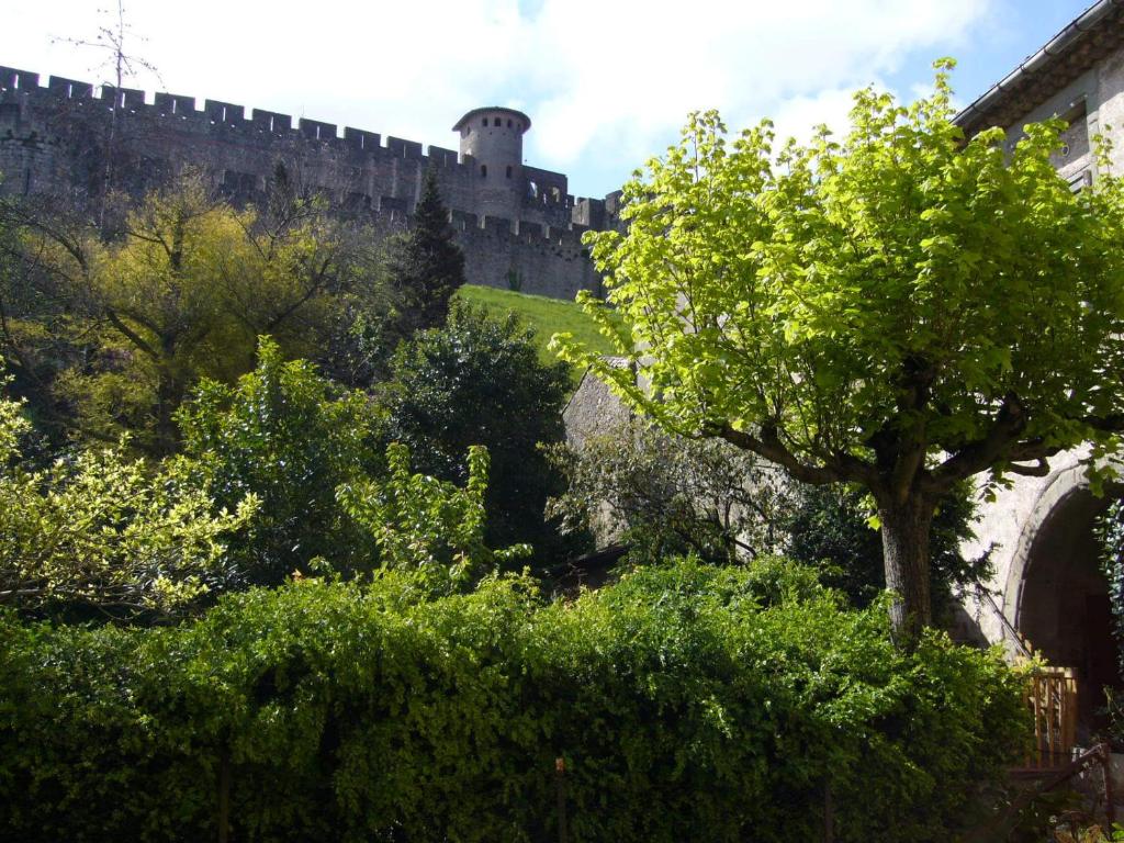 Appartements Pelletier du Claux 64 rue Trivalle 11000 Carcassonne