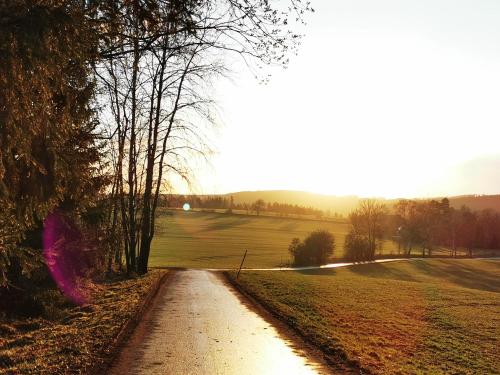 Pension 'Am Vogelherd'