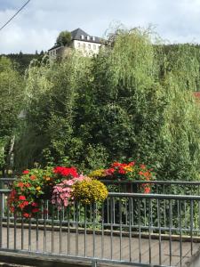 Pension / Ferienwohnung Allebrodt