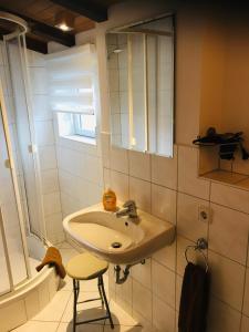 Appartements Pension Hainer See - FEWO Trachenauer Weg 4 04575 Neukieritzsch Saxe