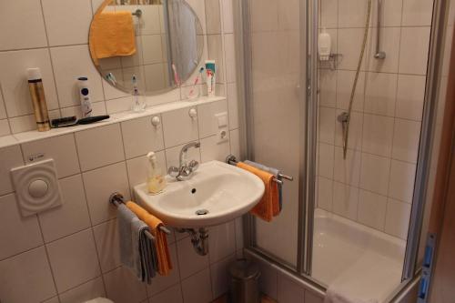 Appartements Pension Hammerschmied Lam allemagne