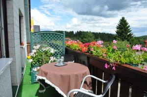 Appartements Pension Haus Barbara Oberhof 4 Poststraße 98559 Oberhof Thuringe