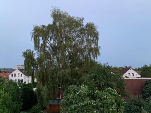 Pension Mitte