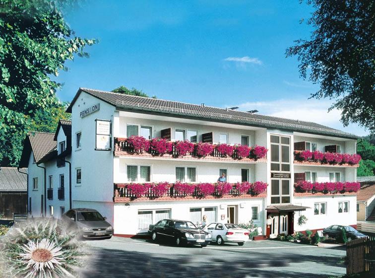 Pension und Fewo Hohe Rhön Obernhausen 25, 36129 Gersfeld