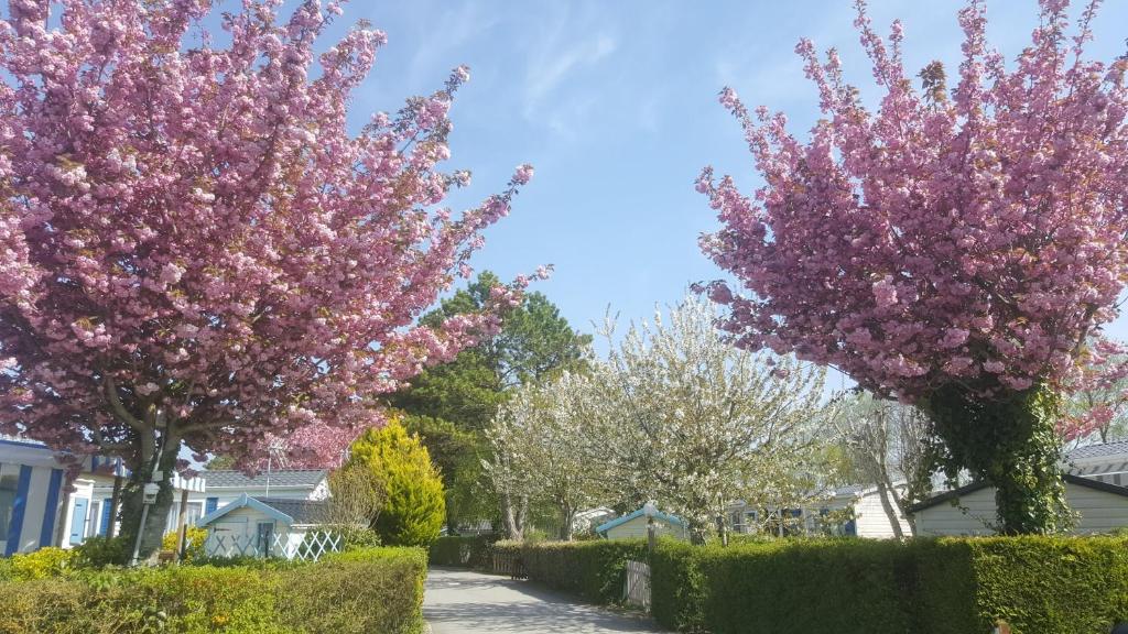 Pension Waldfrieden