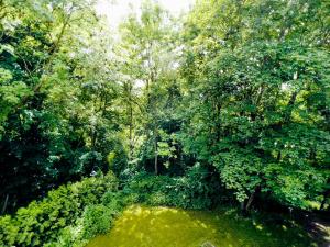 Penthouse Am Goethepark - Apartments & Suites Weimar