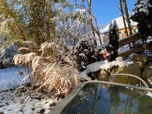 Pia's Nature Retreat
