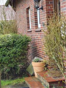 Piratenhaus und Piratennest
