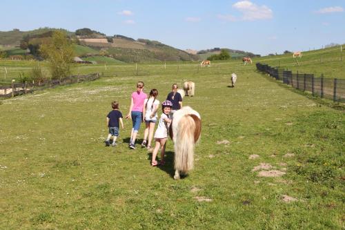 Pony-und Ferienhof Gut Habbecke