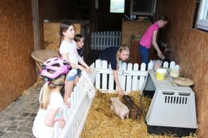 Pony-und Ferienhof Gut Habbecke