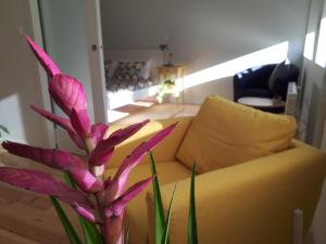 Appartements Porto Nascente Rua Pinto Bessa 248 4300-431 Porto Région Nord