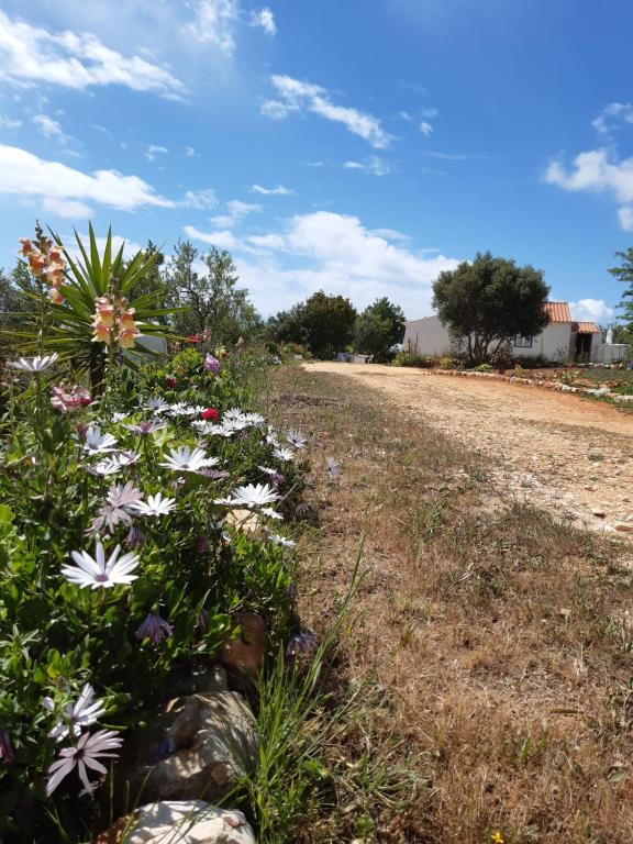 Quinta da Jolanda-Happy Family Farm Quinta da Jolanda Estrada do Sargaçal, 8600-325 Lagos