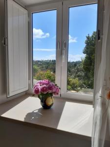 Quinta da Jolanda-Happy Family Farm