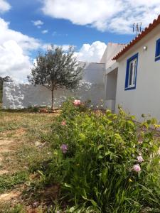 Quinta da Jolanda-Happy Family Farm