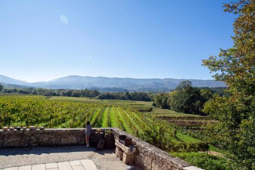 Quinta De Vila Nova - Agroturismo