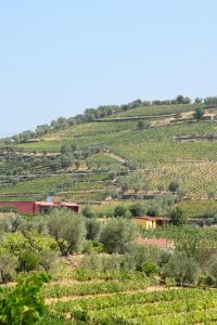 Quinta dos Padrinhos - Suites in the Heart of the Douro