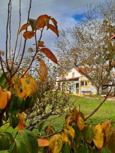 Quintal do Freixo - Country House