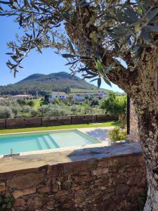 Appartements Raízes Turismo Rural Catraia Cimeira 6150-116 Castelo Branco Région Centre