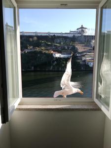 Appartements Red House By The River Avenida Gustavo Eiffel 218 4000-279 Porto Région Nord