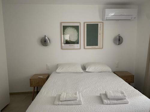 Résidence Casa Olea - Studio - T2 - T3