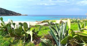 Résidence Fioravanti Villas Valinco