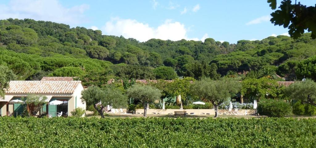 Appartements Residence Les Sellettes Chemin De L'oumède 83350 Saint-Tropez