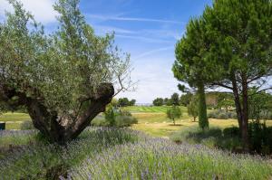 Residence Pont Royal en Provence - maeva Home